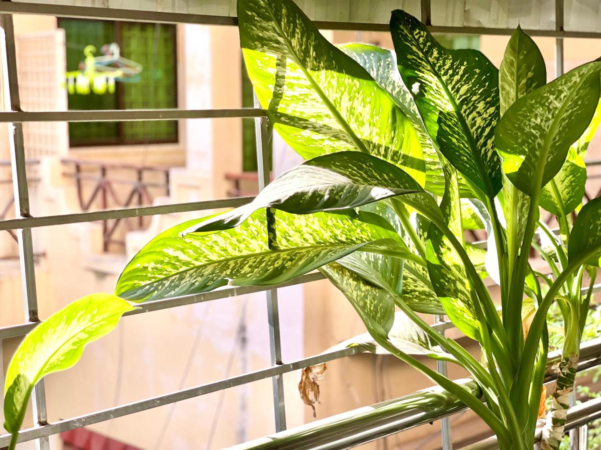 Sky Hotel Central Phnom Penh - Rooms & Apartments 외부 사진